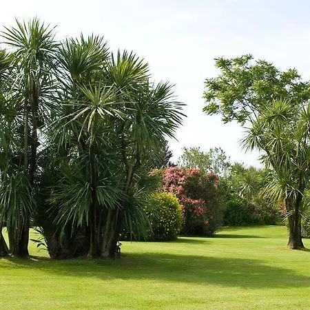 Marina Club Hotell 4*